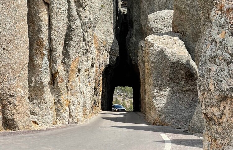 SD Needles Highway